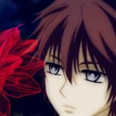 shiki