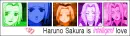 Sakura is intelligent love