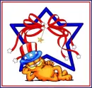 Garfield USA 