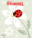 stacey