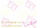 Flying Butterflies
