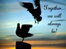 Always together