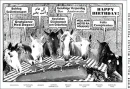 Horse Wishes