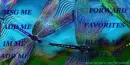 Colorful Dragonflies