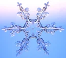 winter snowflake
