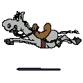 jumping horse