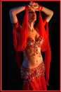 Red Belly Dancer