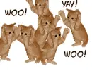 woo! yay! woo! yay!