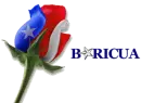 Boricua Rose