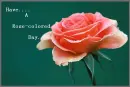 Rose-colored Day