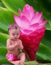 tropical princess