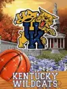 Kentucky Wildcats