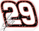 Kevin Harvick 29