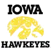 Iowa Hawkeyes
