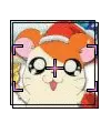 hamtaro