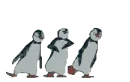Dancing Penguins