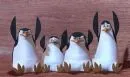 madagascar penguins