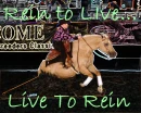 Live to rein