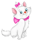 cute cat