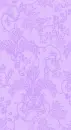 purple bg