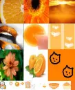 Orange-All Orange