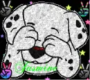 dalmata
