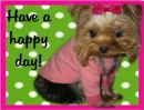 Have a happy day!