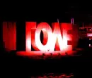 love - evol
