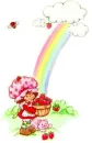 the rainbow