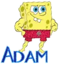 Adam