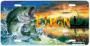 Fish Tag- Ethan