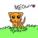 Kitty