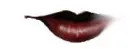 lip
