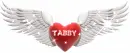 tabby