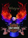 Harley Davidson Eagle (with flag) Logo- Wayne