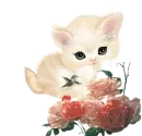 cat with flowers