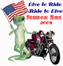 Harley Davidson and a Gekko (with flag)- Live to Ride Ride to Live Freedom Ride 2008
