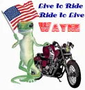 Harley Davidson and a Gekko (with flag)- Live to Ride Ride to Live Wayne