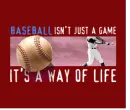 Baseball Its A Way Of Life