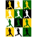 Baseball Silhouette