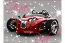Harley Davidson New Age Trike (with sparkles)- Gina's Ride