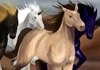 horses