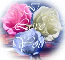 red white blue roses