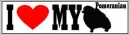 I Love My Pomeranian Bumper Sticker
