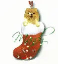 Pomeranian in Stocking (with sparkles)- Mandy