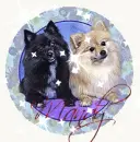 Pomeranians (black & tan) in Circle (with sparkles)- Mandy