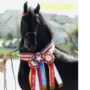 Friesians