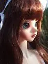 DOLL