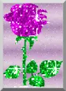 GLITTER