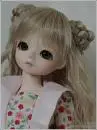 DOLL